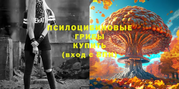 твердый Алексеевка