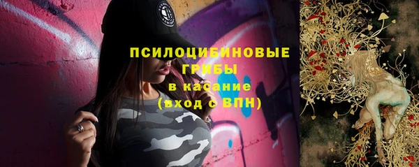 твердый Алексеевка