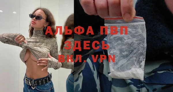 гидра Алзамай